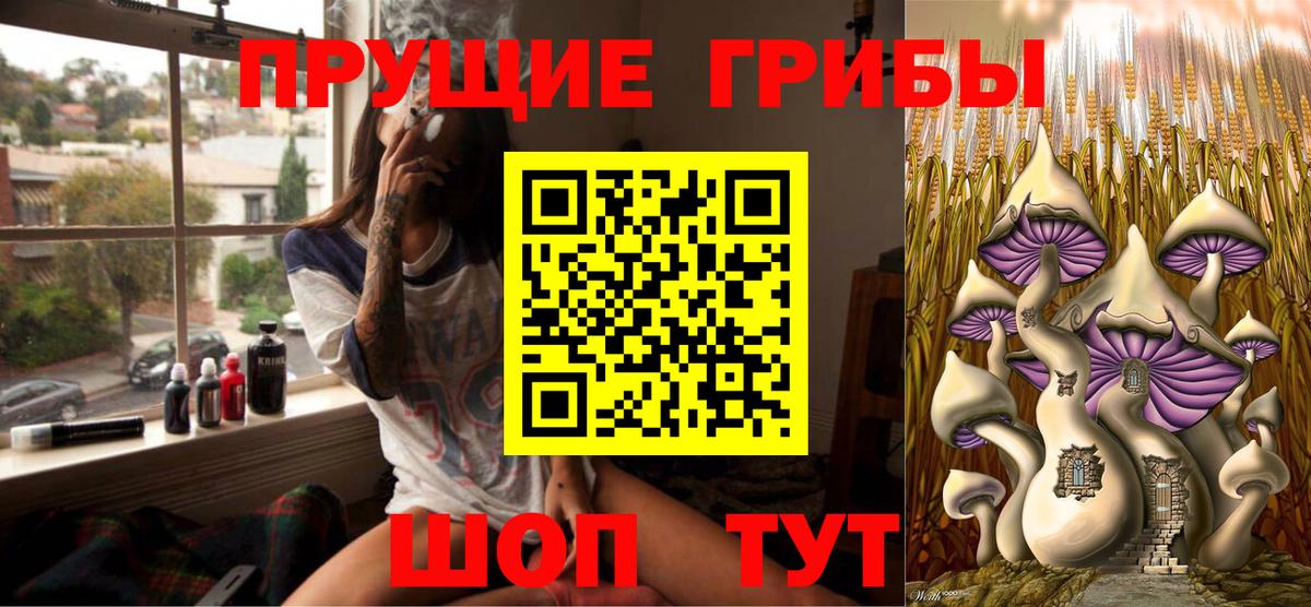 Куйбышев  Псилоцибиновые грибы Cubensis  Вход с VPN 