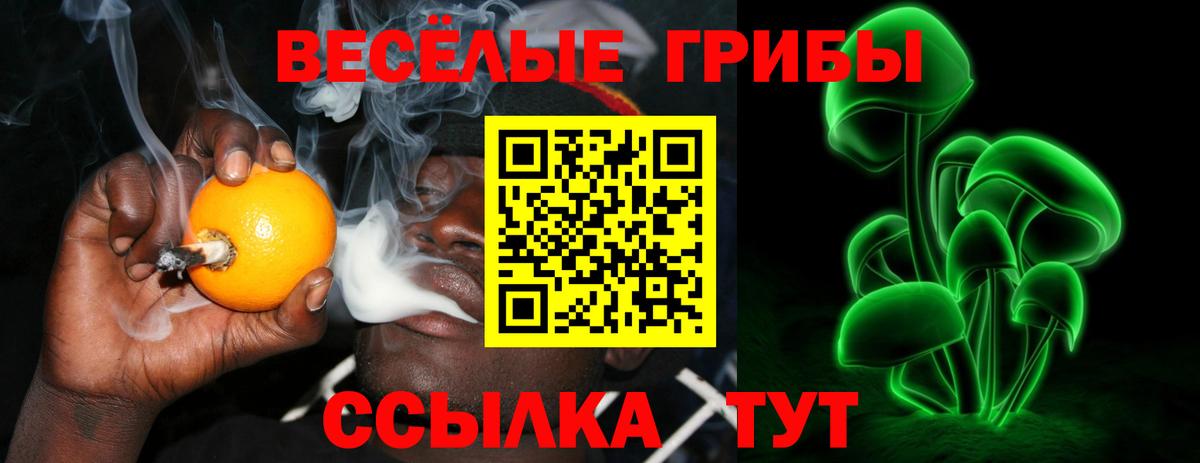 Псилоцибиновые грибы GOLDEN TEACHER Куйбышев
