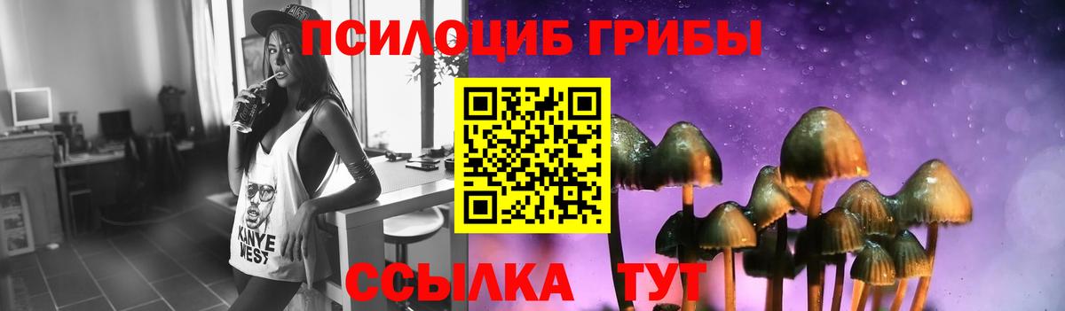 A PVP Куйбышев